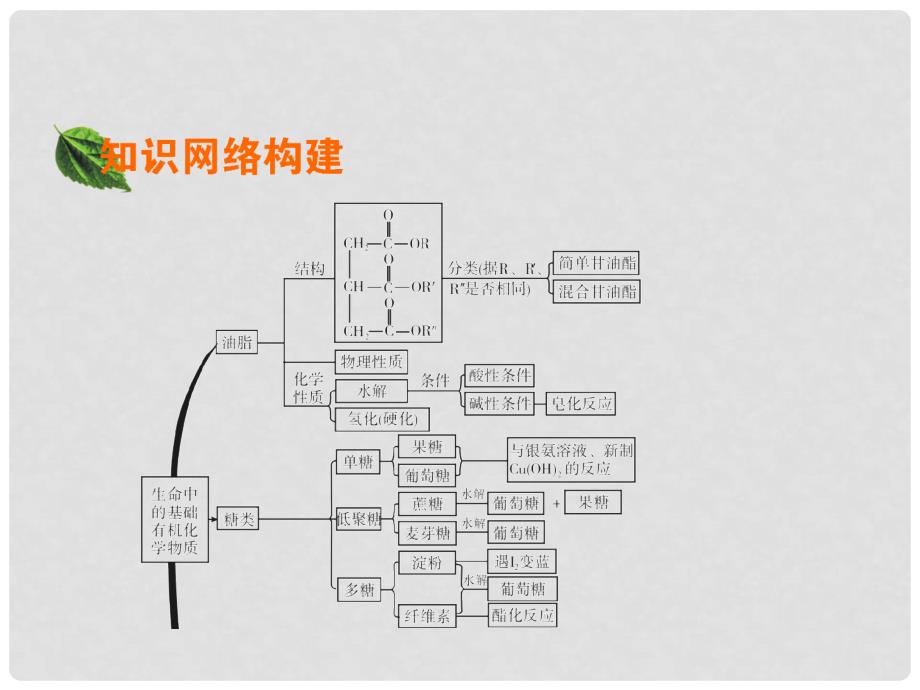 高中化学 第四章 生命中的基础有机化学物质章末整合提升课件 新人教版选修5_第2页