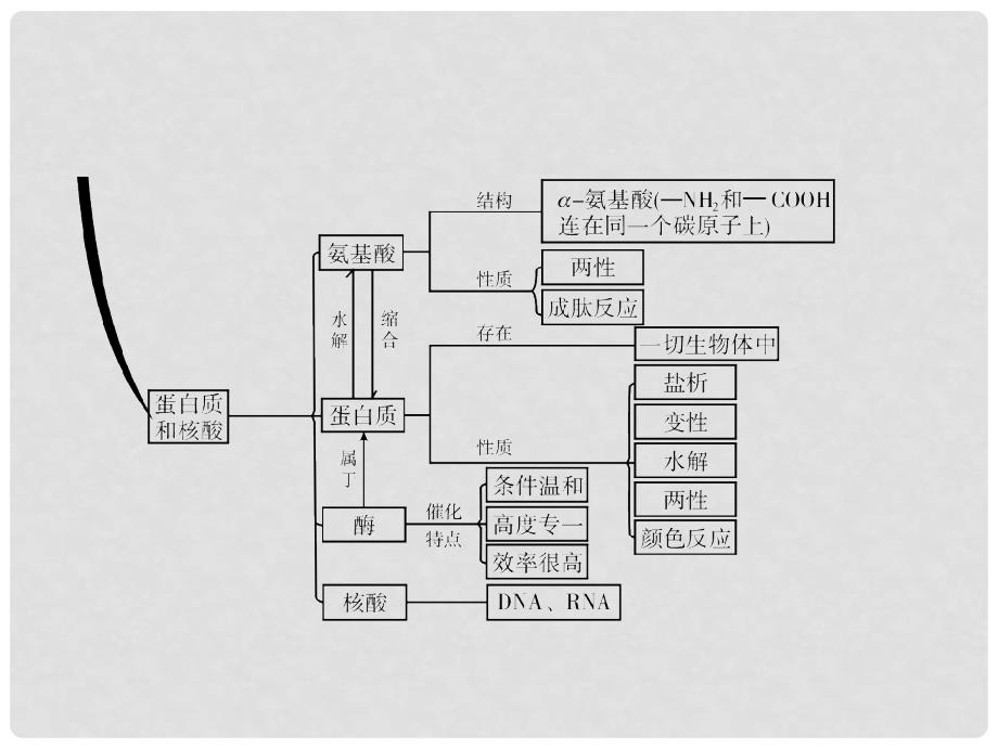 高中化学 第四章 生命中的基础有机化学物质章末整合提升课件 新人教版选修5_第3页