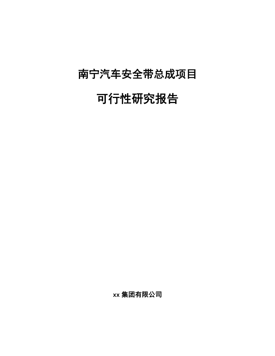 南宁汽车安全带总成项目可行性研究报告_第1页