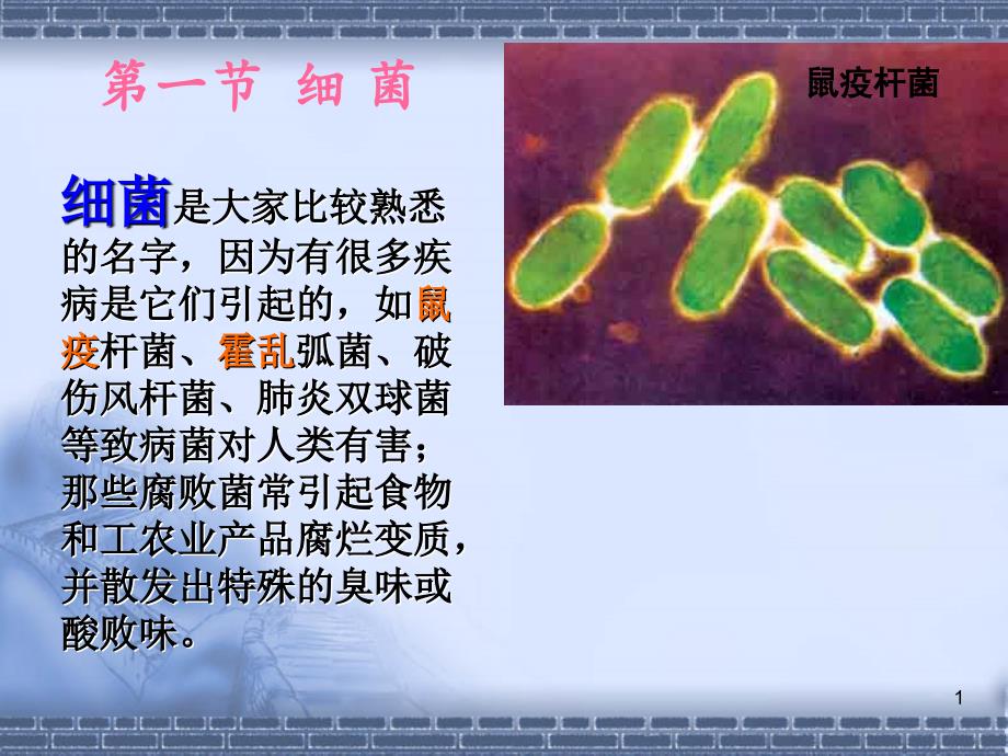 第二章原核微生物_第1页