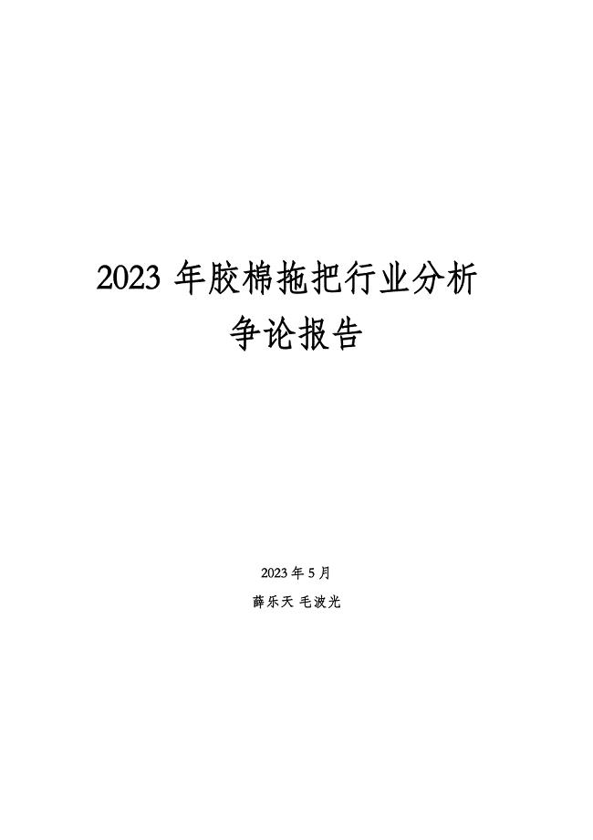 2023年胶棉拖把行业分析研究报告