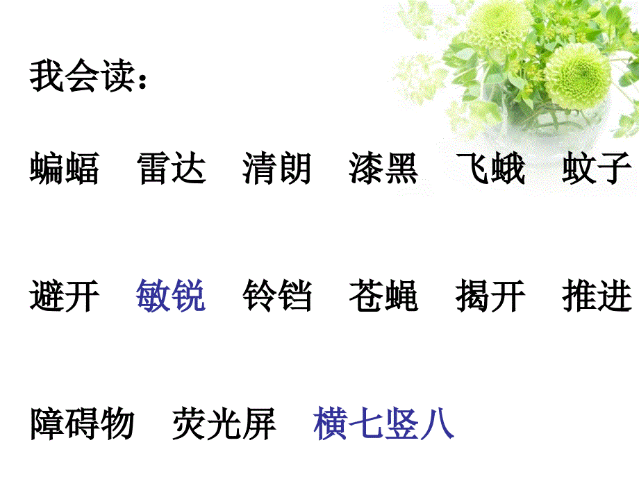 11.蝙蝠和雷达.ppt_第4页