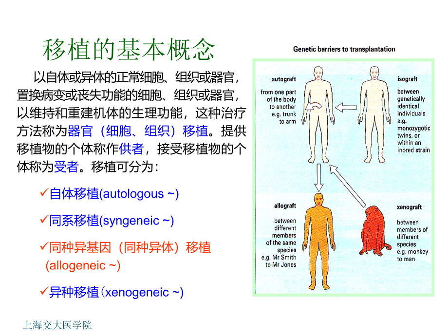 机体防御与免疫：第21章 移植免疫_第3页