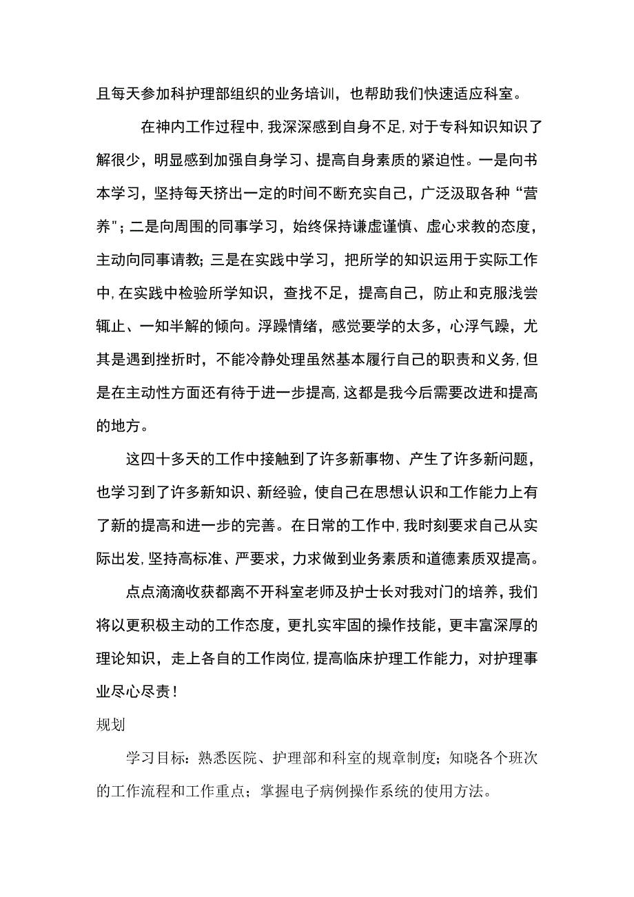 护士试用期总结_第2页