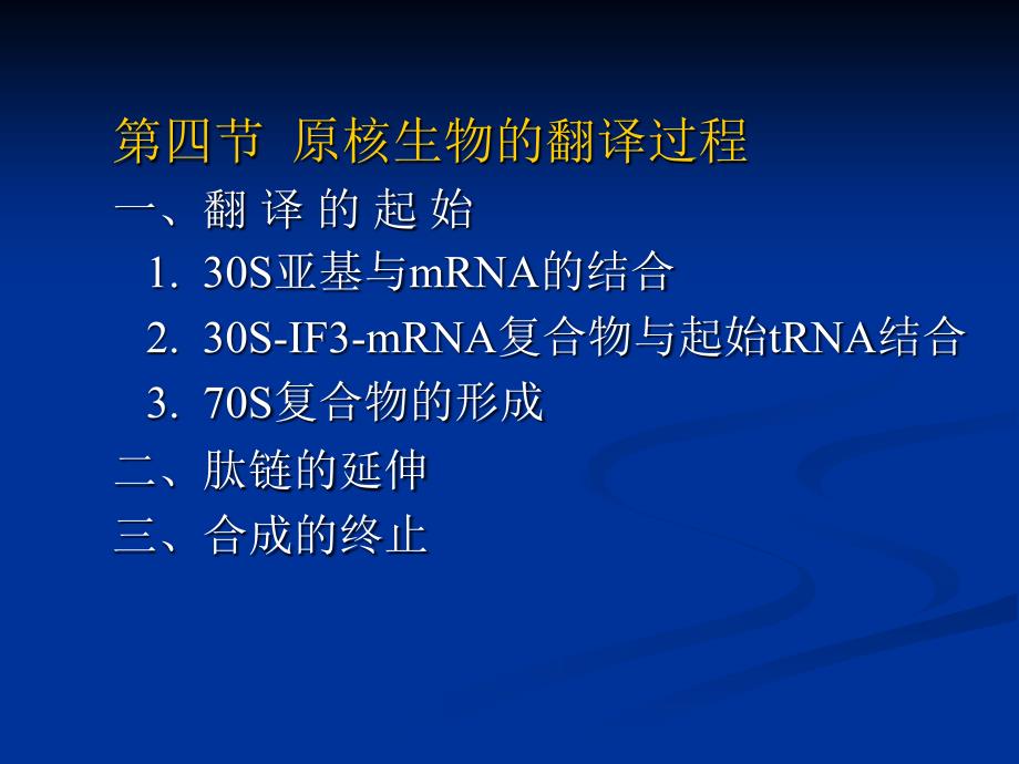 《蛋白质生物合成》PPT课件_第1页