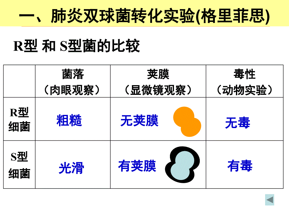 公开课核酸是遗传物质的证据浙教版课件复习过程_第2页