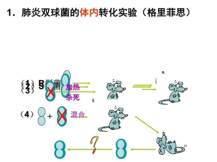 公开课核酸是遗传物质的证据浙教版课件复习过程_第3页