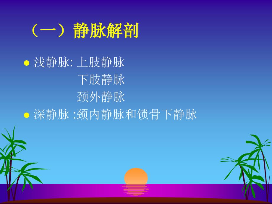 化学治疗静脉的管_第4页