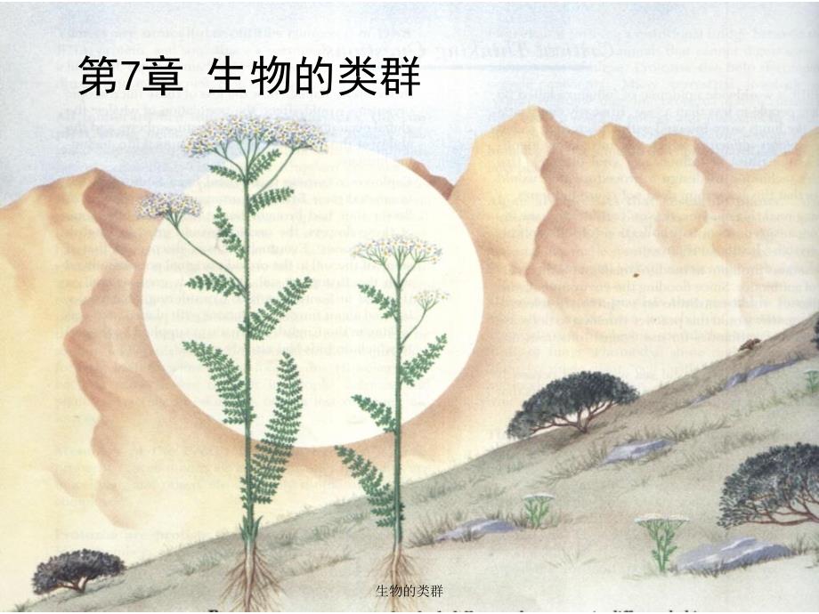 生物的类群课件_第1页