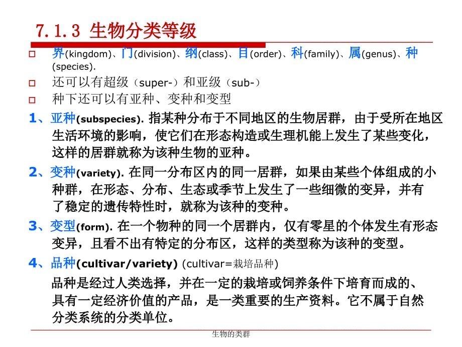 生物的类群课件_第5页