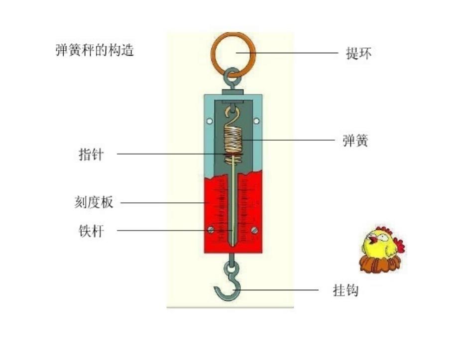 四年级下册科学测量重力_第4页