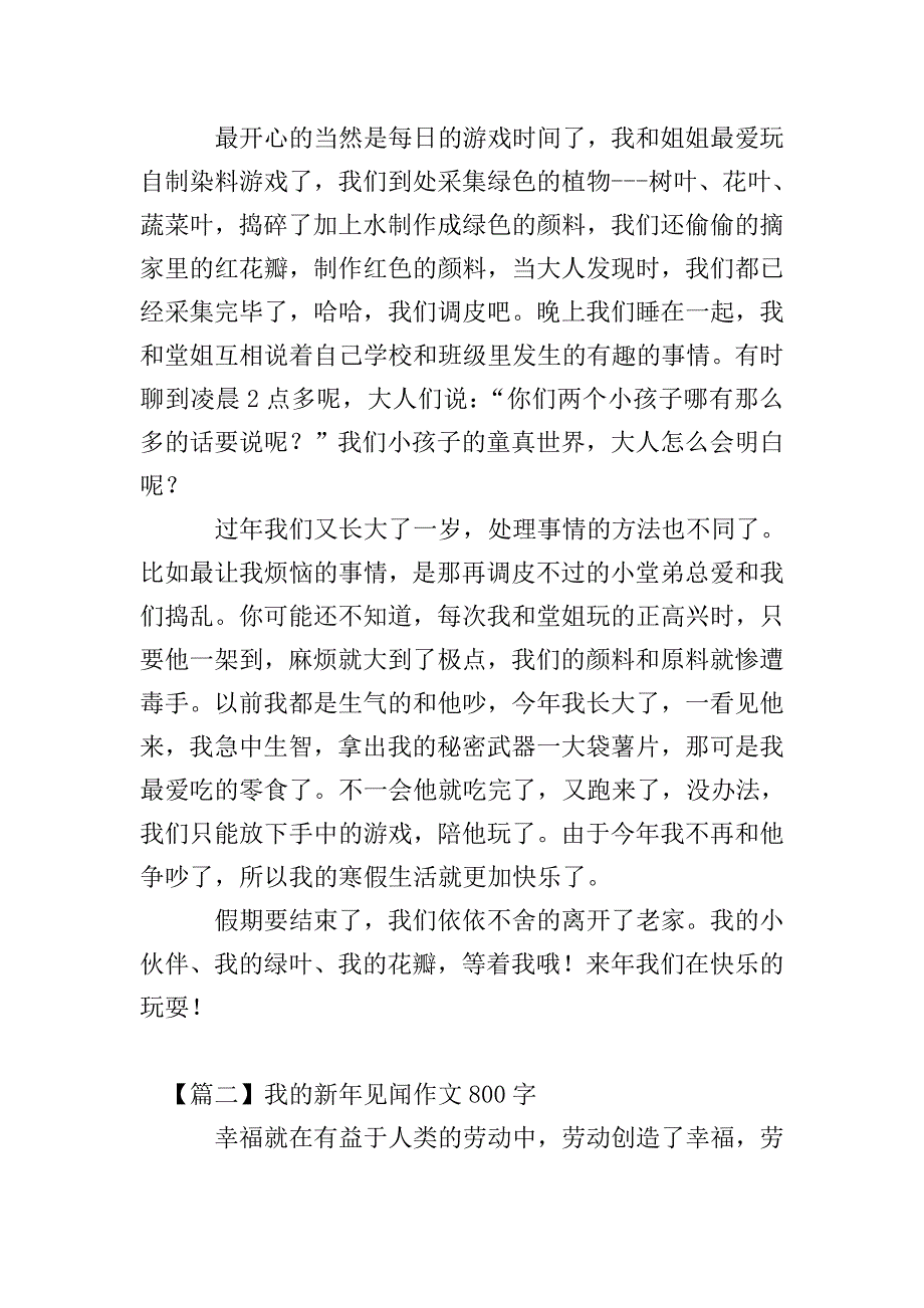 我的新年见闻作文800字.doc_第2页