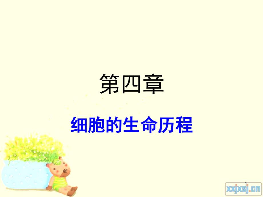 一轮复习_有丝分裂(经典).ppt_第1页