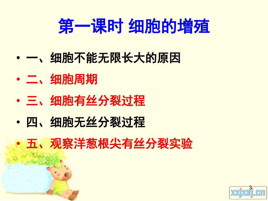 一轮复习_有丝分裂(经典).ppt_第3页