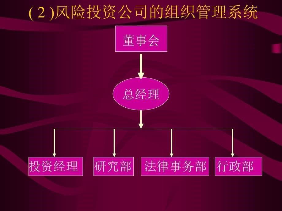 风险投资运作管理_第5页