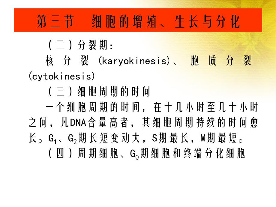 植物学第三节细胞的增殖生长与分化_第2页