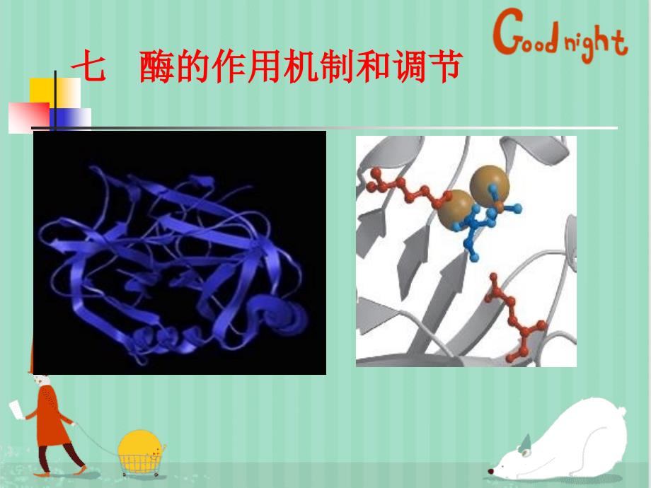 酶作用机制课件_第1页