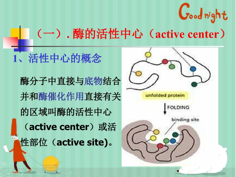 酶作用机制课件_第2页