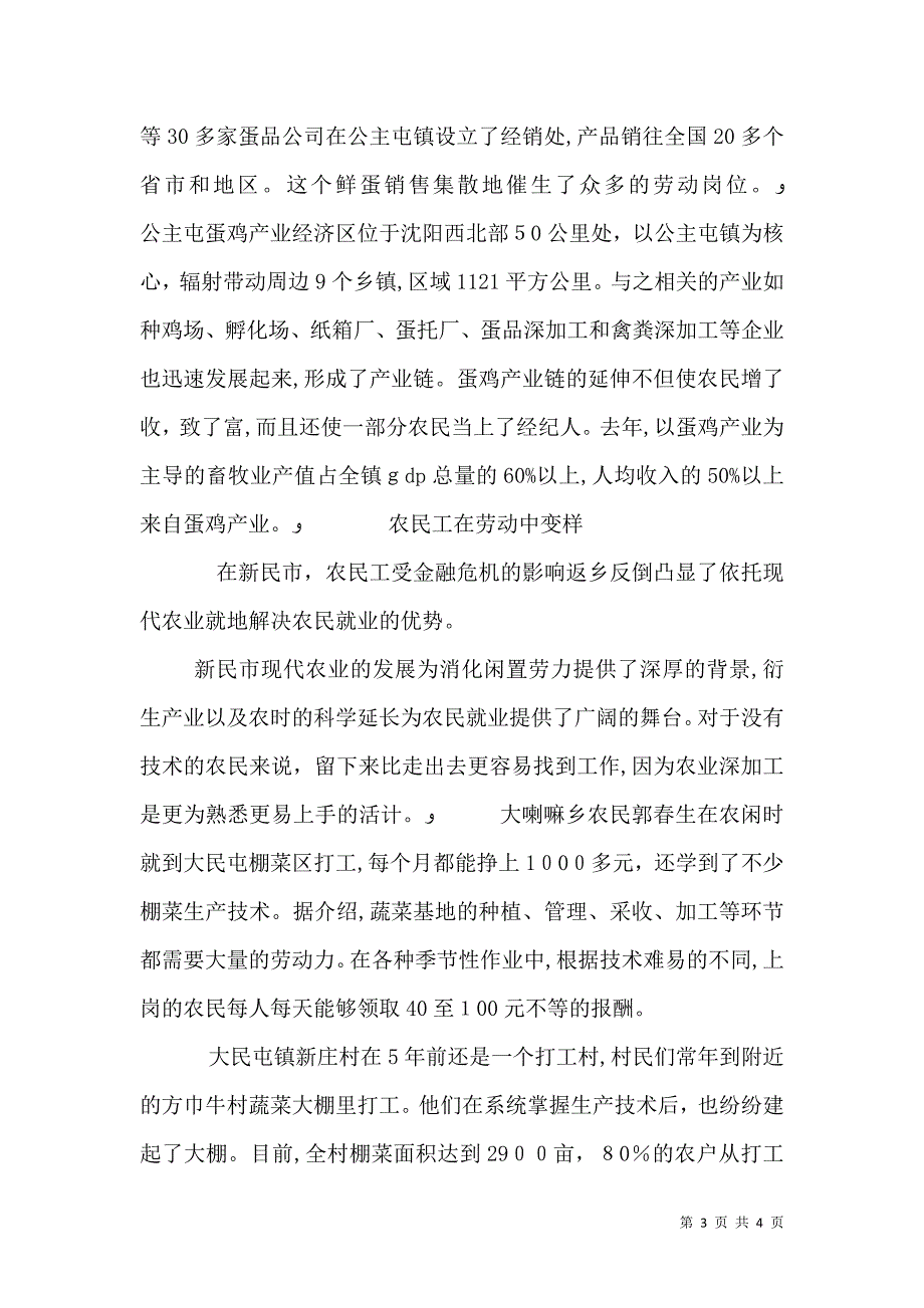 农业安置农民工经验交流材料_第3页