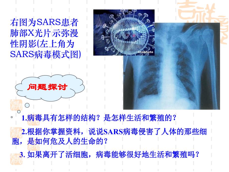 从生物圈到细胞PPT课件_第3页