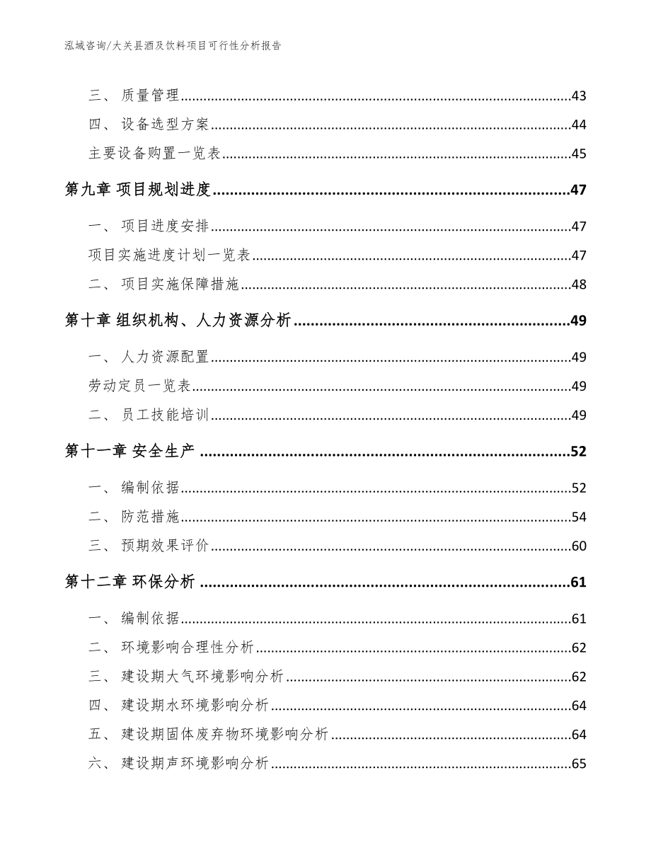 大关县酒及饮料项目可行性分析报告模板范文_第4页
