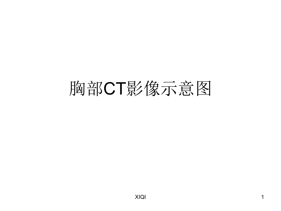 胸部CT影像示意图_第1页