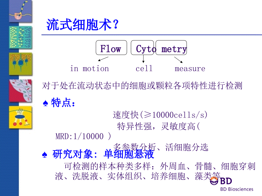 BD流式基础知识qj课件_第2页