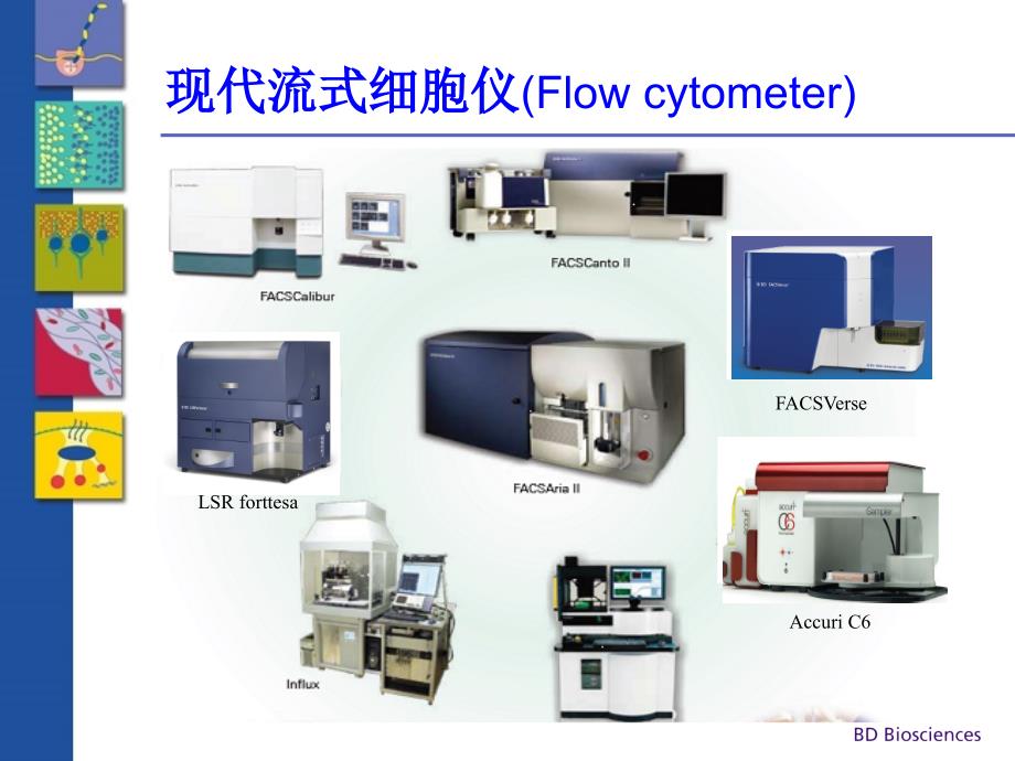 BD流式基础知识qj课件_第4页