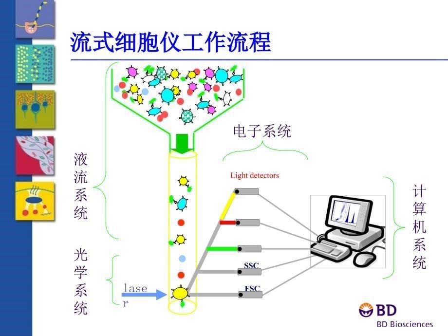 BD流式基础知识qj课件_第5页