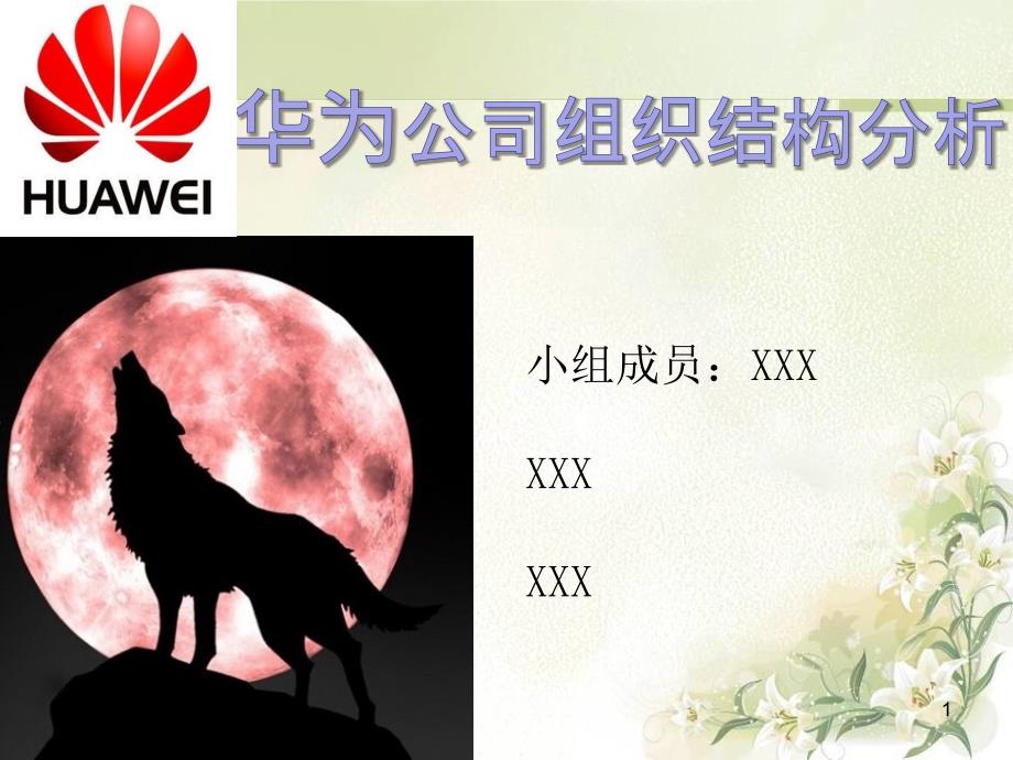 组织结构分析课件_第1页