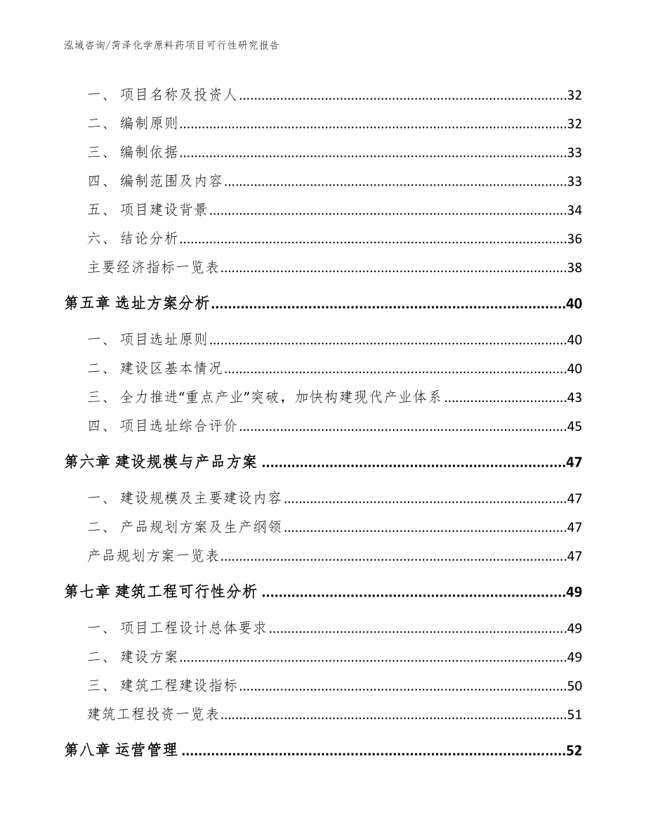 菏泽化学原料药项目可行性研究报告模板范本_第2页