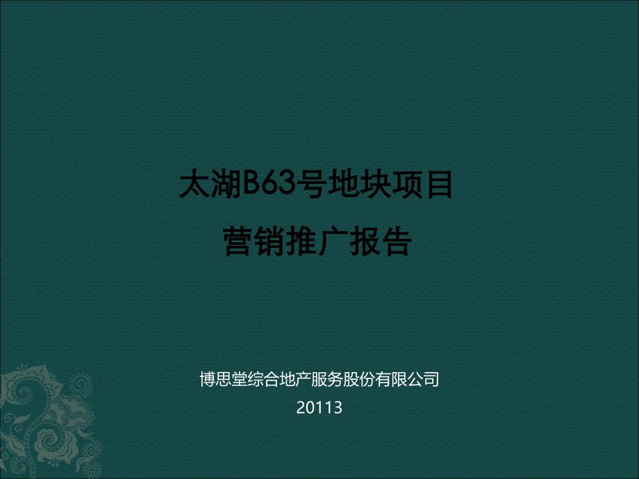 苏州太湖地块项目营销推广报告_第1页