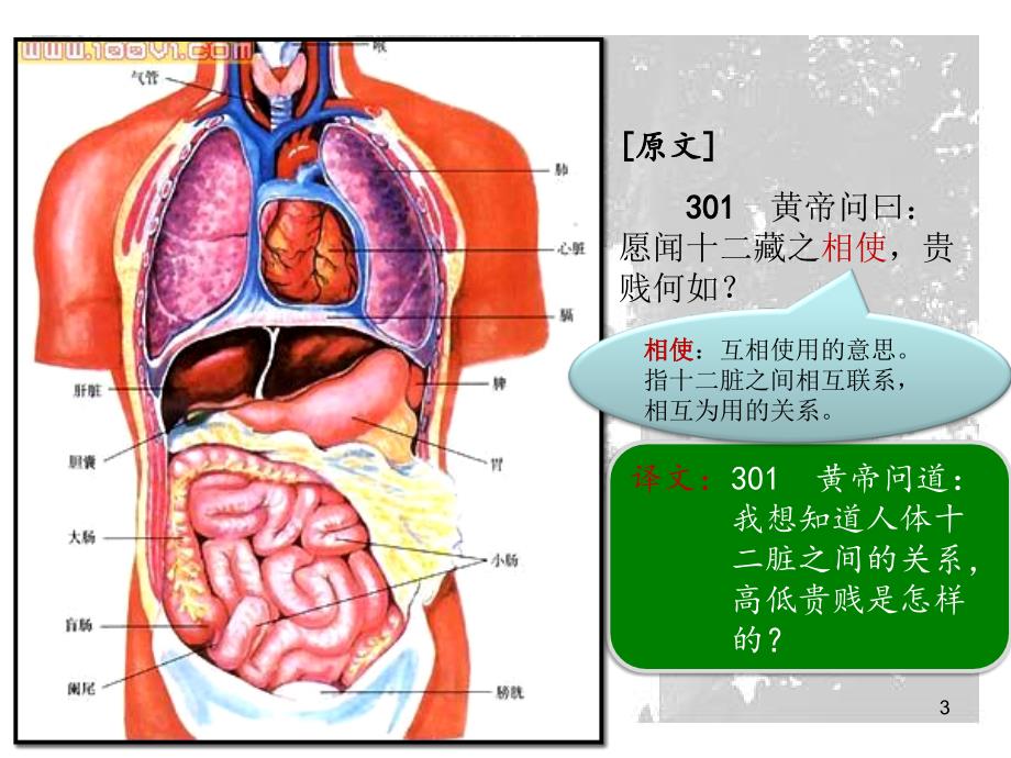 内经选Chaptr 3课件_第3页