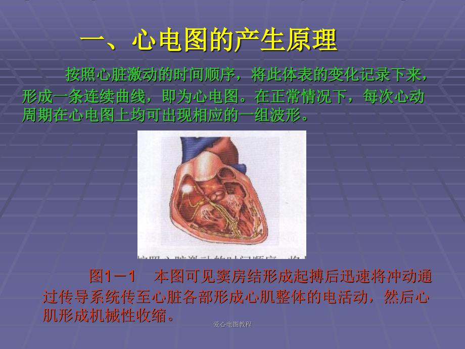 爱心电图教程课件_第2页