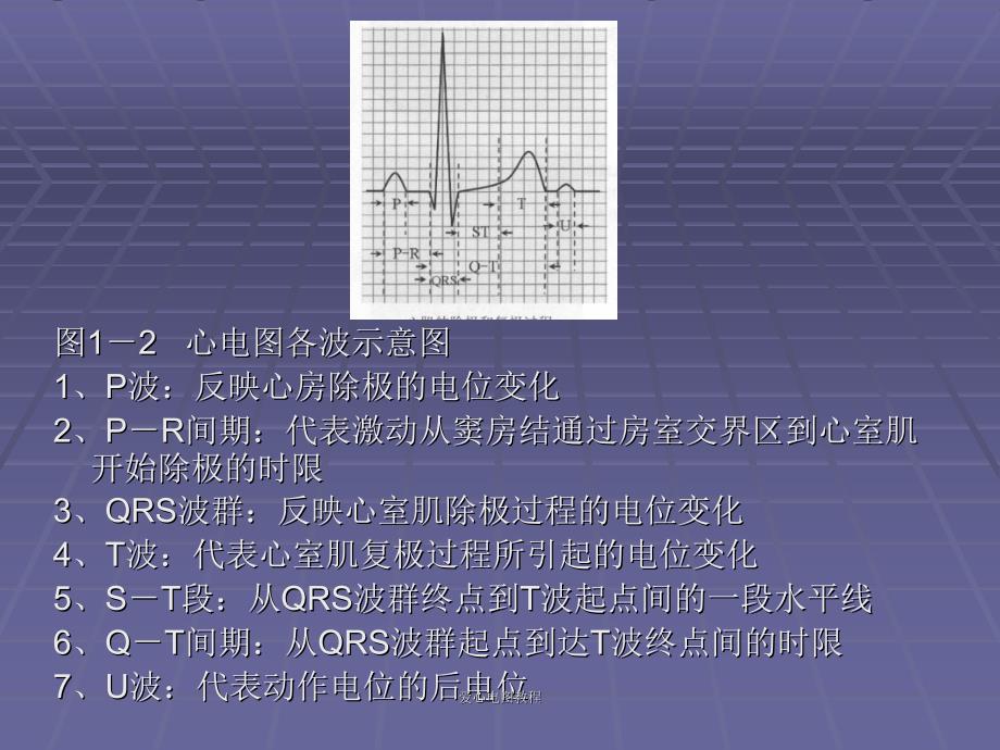 爱心电图教程课件_第3页