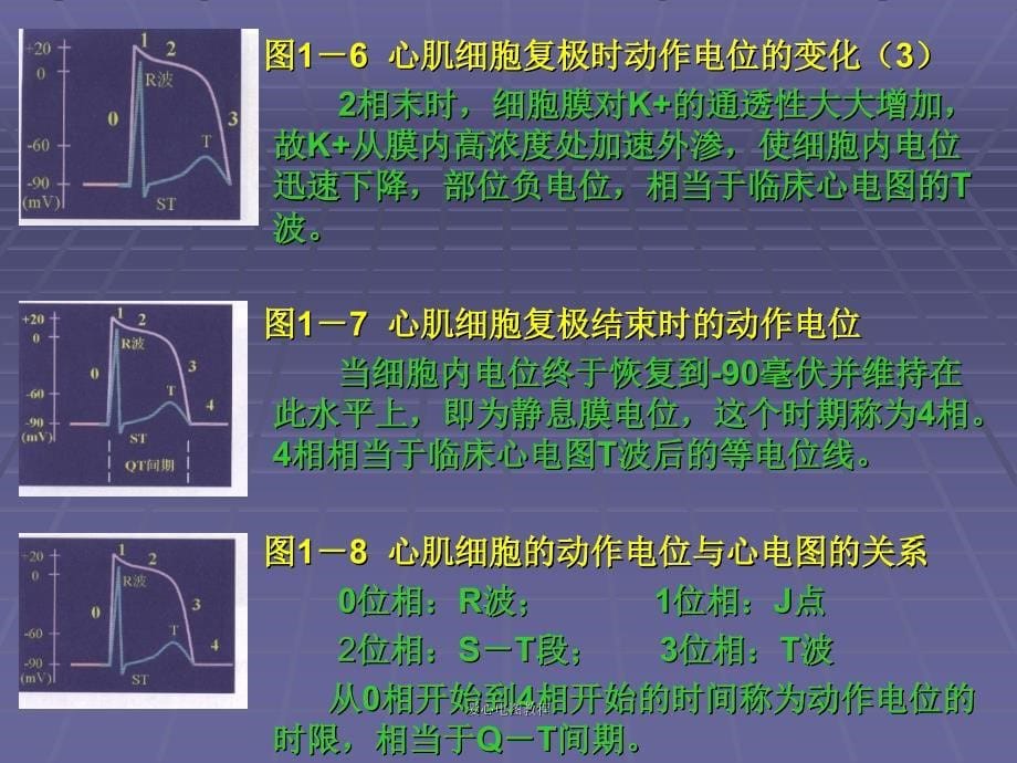 爱心电图教程课件_第5页