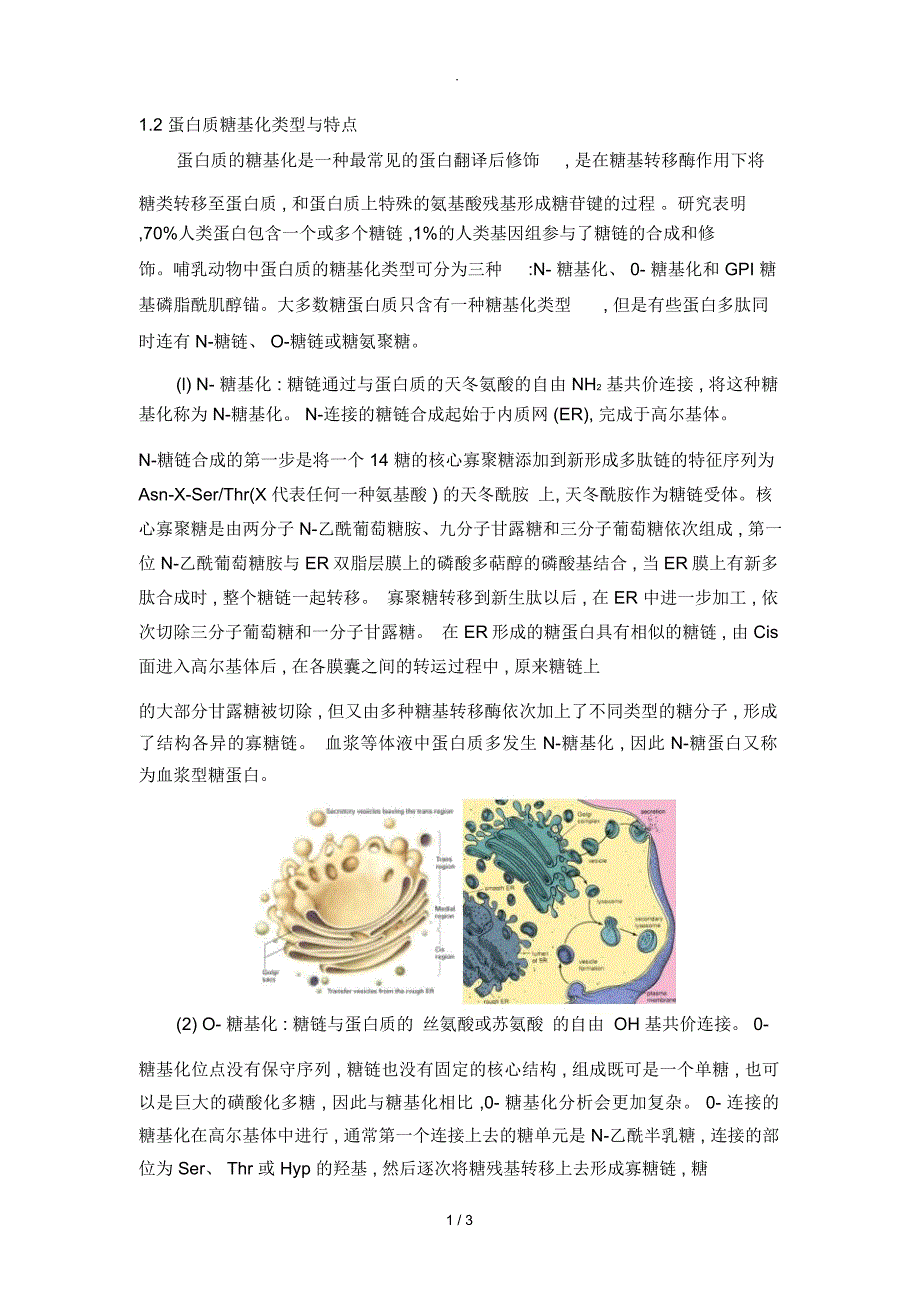 蛋白质糖基化类型与点_第1页