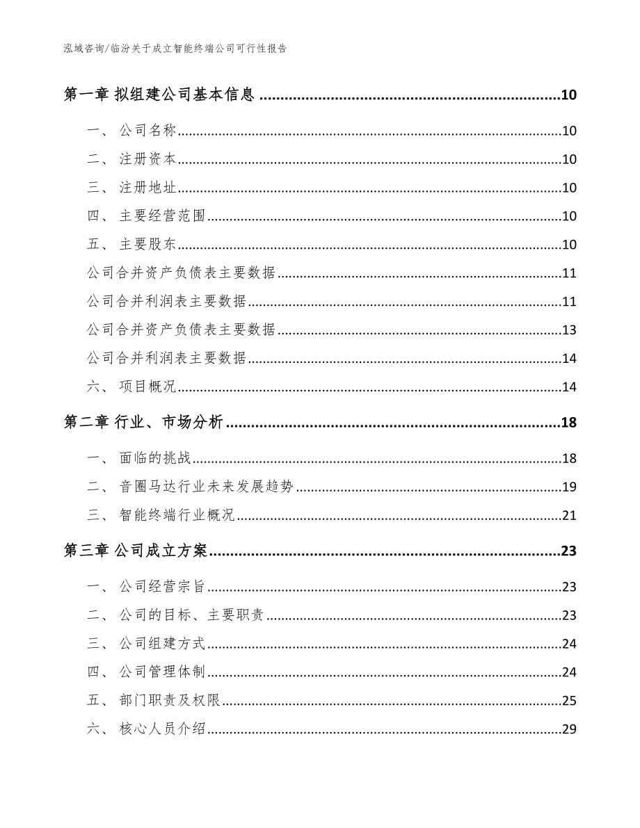 临汾关于成立智能终端公司可行性报告（模板参考）_第5页