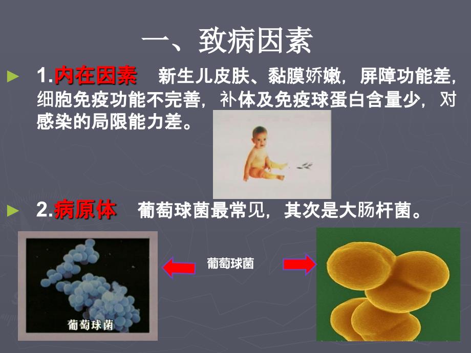 新生儿败血症课件.ppt_第3页