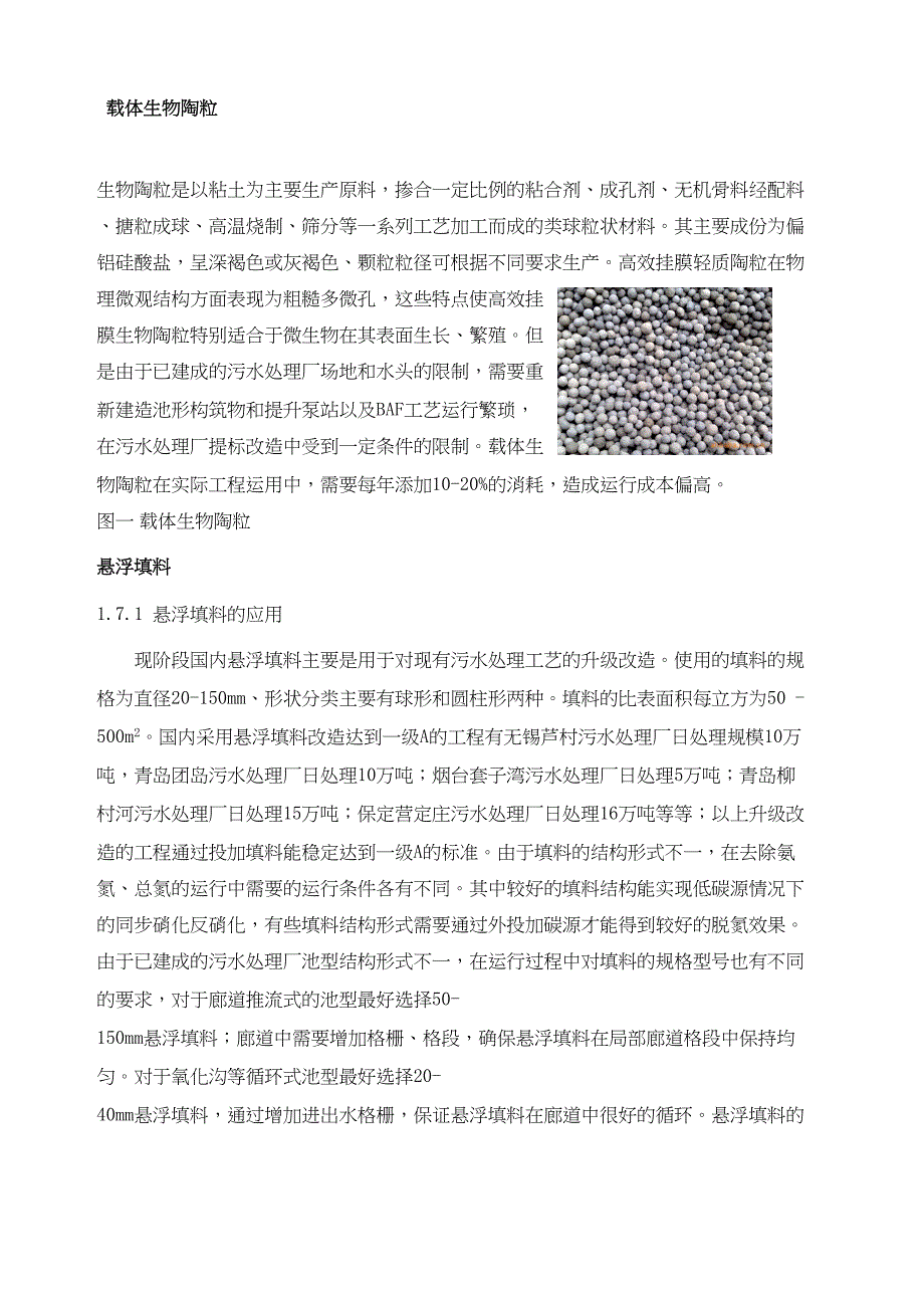 污水处理反应填料和载体现状及发展前景提纲终审稿)_第4页