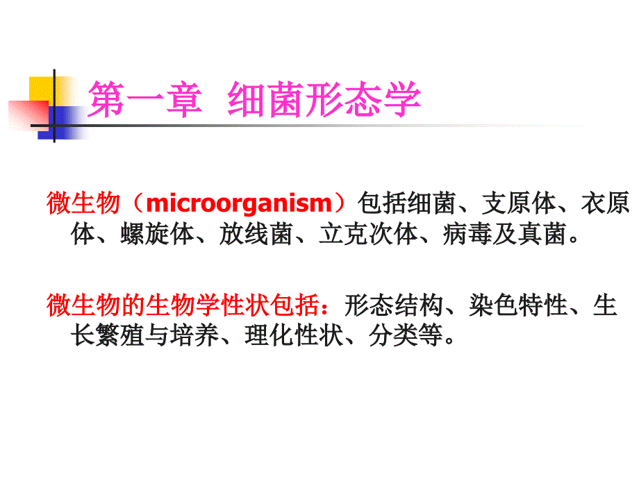 《细菌的形态结构》PPT课件_第1页