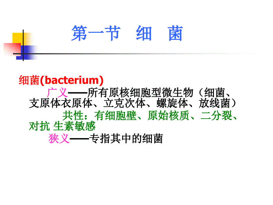 《细菌的形态结构》PPT课件_第2页