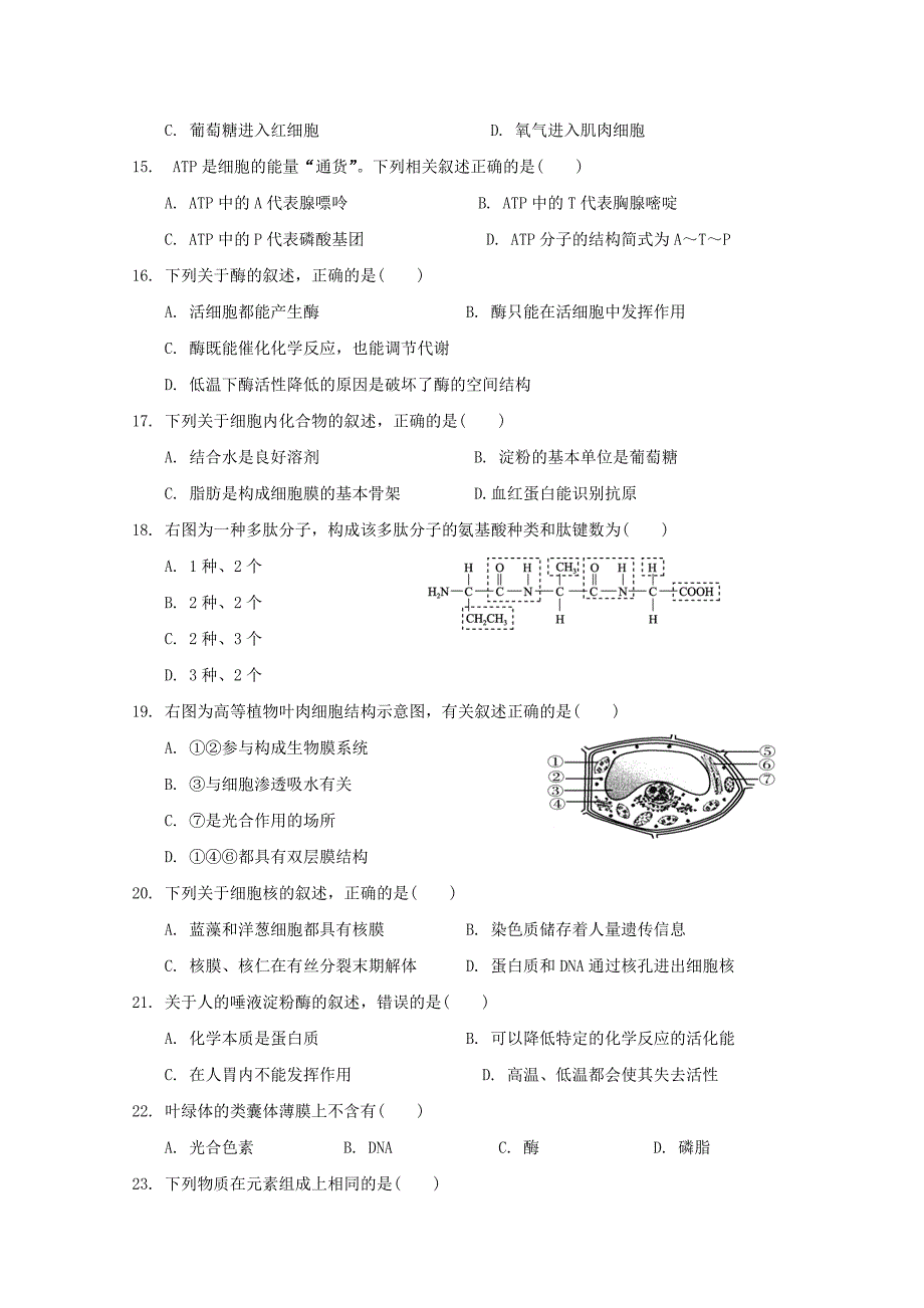 江苏诗台市2017-2018学年高一生物11月月考试题_第3页