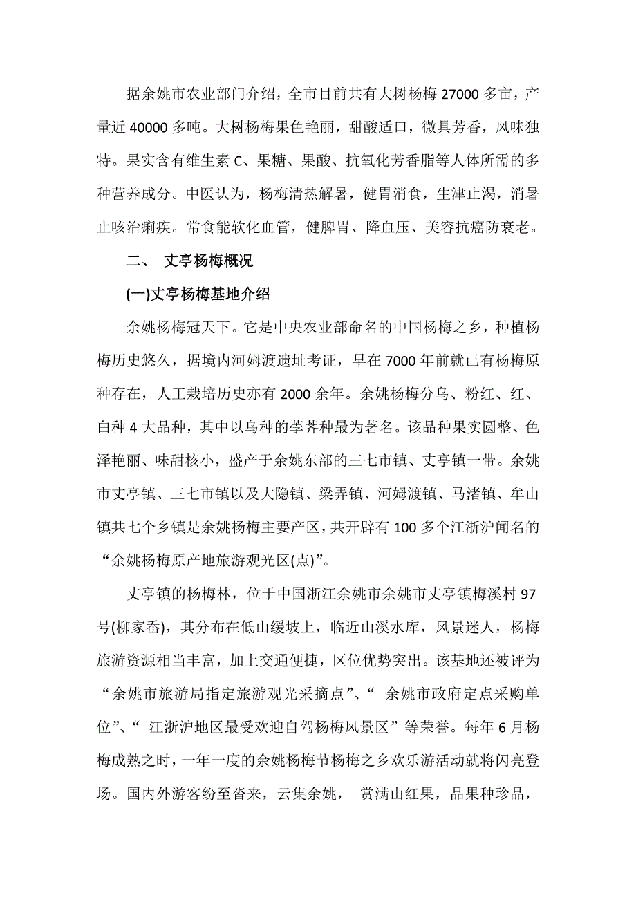 杨梅网络营销方案_第2页