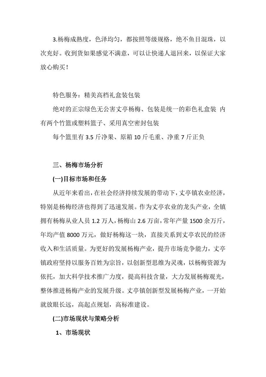 杨梅网络营销方案_第5页