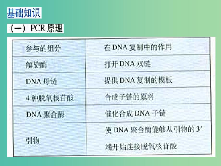 高中生物 专题5 课题2 多聚酶链式反应扩增DNA课件 新人教版选修1.ppt_第4页