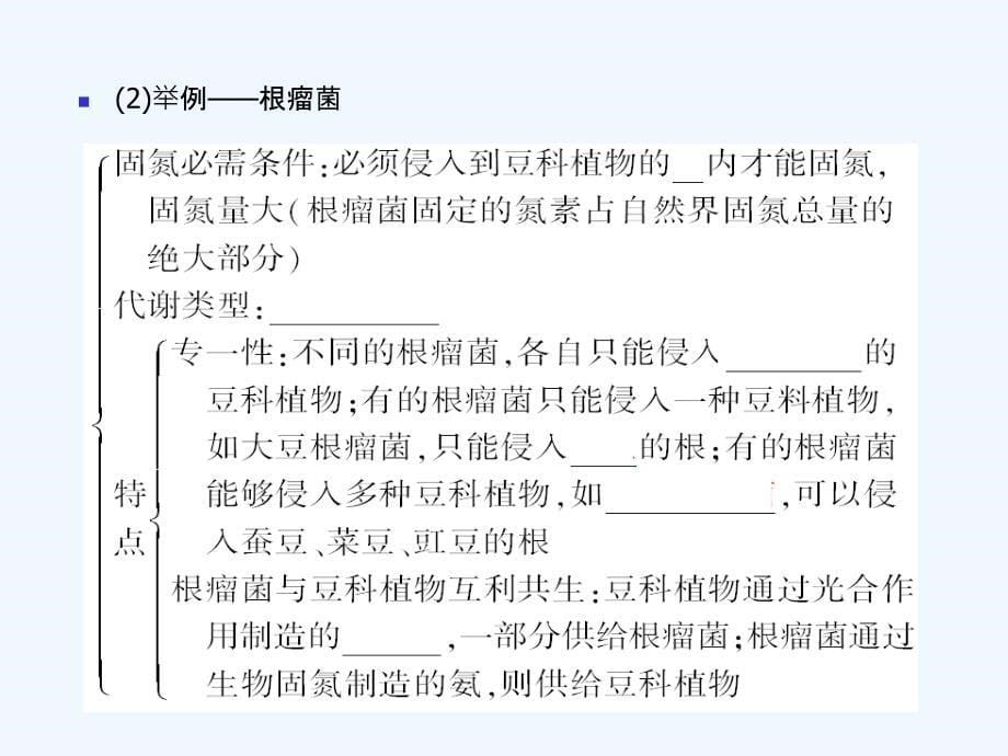 【精品】2011届高考生物第一轮复习经典学案 2-6 生物固氮课件_第5页