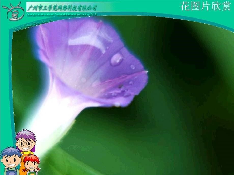 dyw01020702丁丁和牵牛花.ppt_第5页