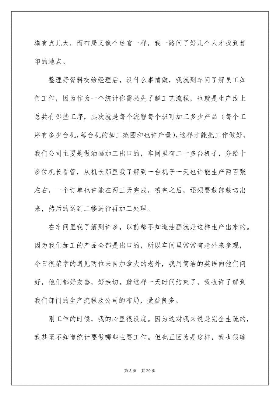 2023统计的实习报告范文.docx_第5页