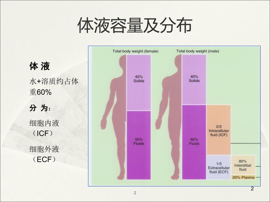 水电解质与酸碱平衡紊乱ppt课件_第2页